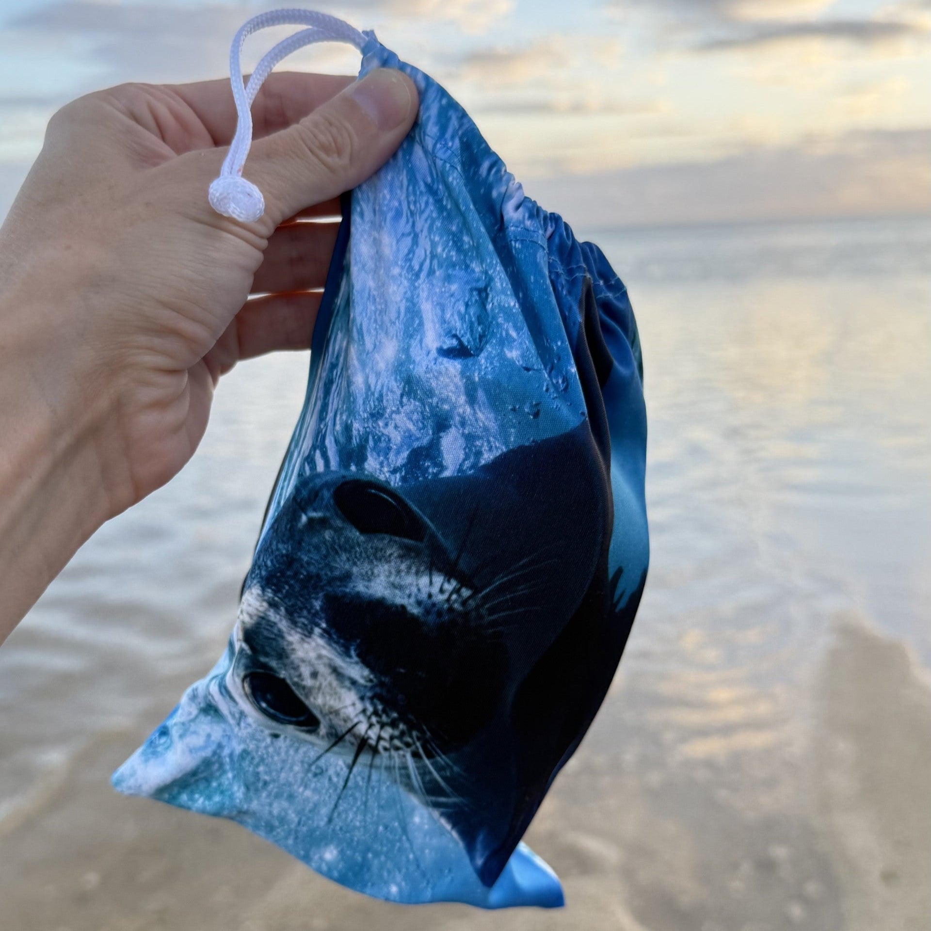 sealion_pouch.jpg